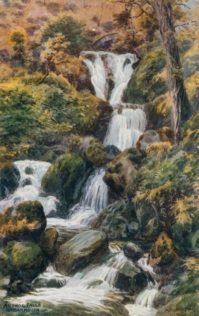 Arthog Wasserfälle, bei Barmouth von Alfred Robert Quinton